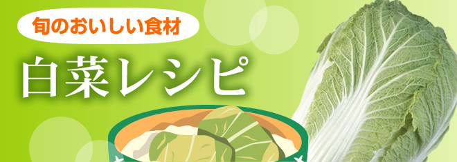 旬のおいしい食材！白菜レシピ