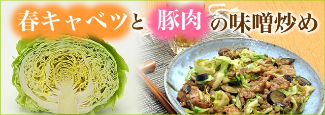 春キャベツと豚肉の味噌炒め