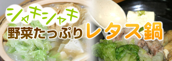 シャキシャキ食感がたまらない！野菜たっぷり！レタス鍋