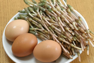 つくしんぼの玉子とじ01