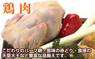 食感の天草大王や旨味の赤どりなどこだわりのハーブ鶏