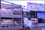 店舗駐車場にて