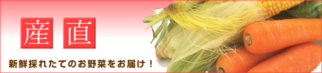 新鮮採れたてのお野菜をお届け！