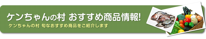 ケンちゃんの村 おすすめ商品情報