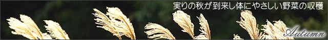 秋の訪れ